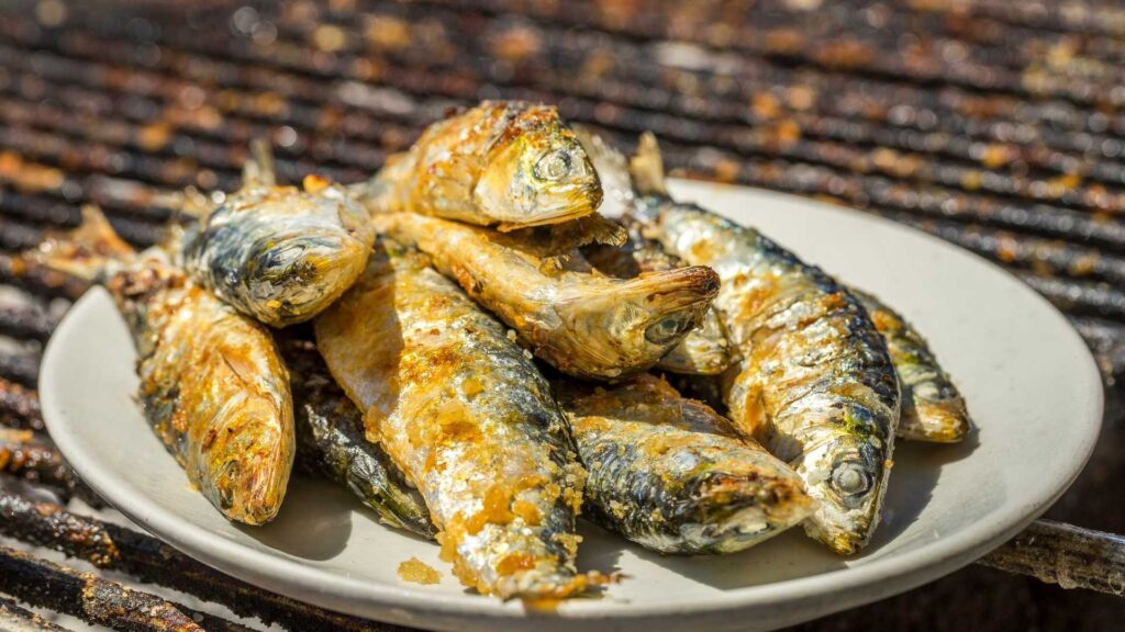 sardines from catalonia